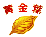 黄金叶